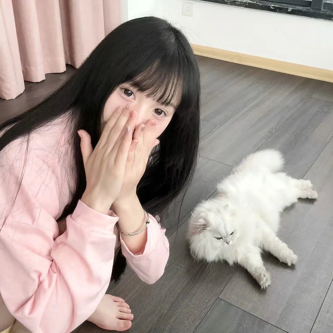 赘婿